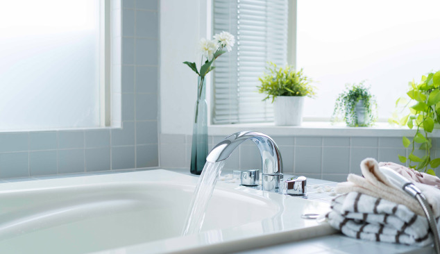 A cosa prestare attenzione quando si acquista una vasca da bagno?