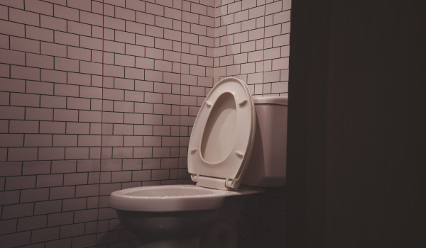 Come acquistare una buona tavoletta del WC?