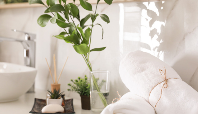 Quali piante si possono mettere in bagno?