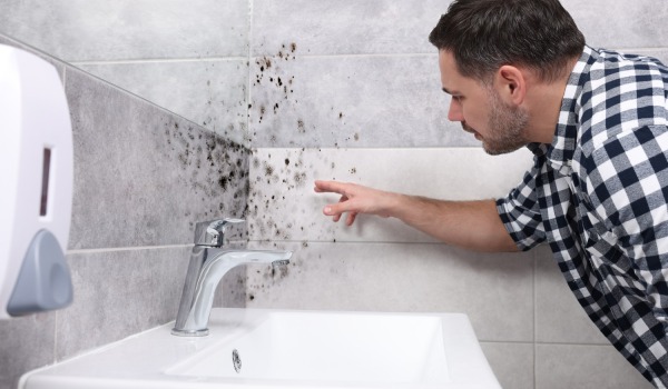 Rimozione della muffa nera dal silicone: come farlo efficacemente?