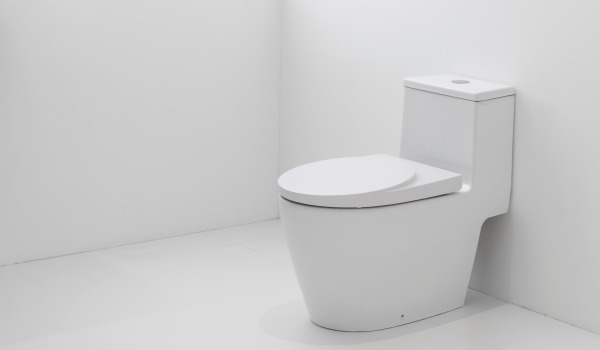 Come abbinare la tazza WC all'arredamento?