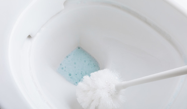 Come prendersi cura dello scopino del WC?