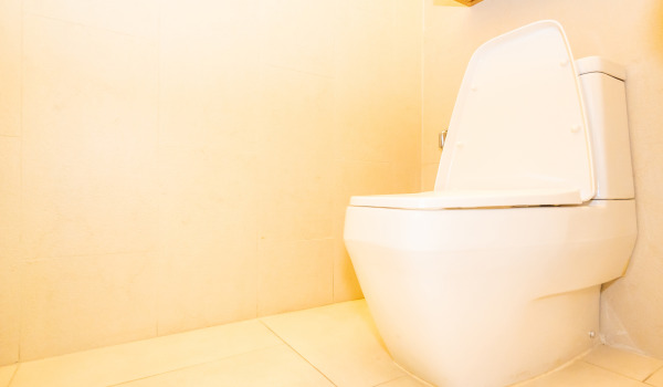 Quale set di incasso per WC scegliere?