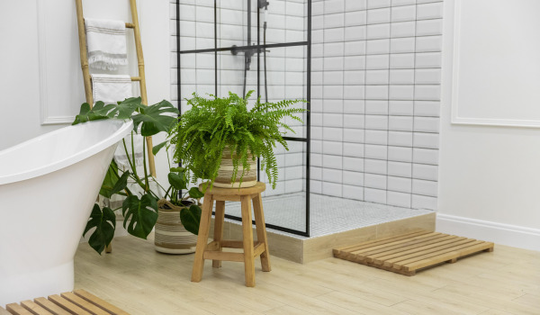 5 migliori fiori da coltivare in bagno