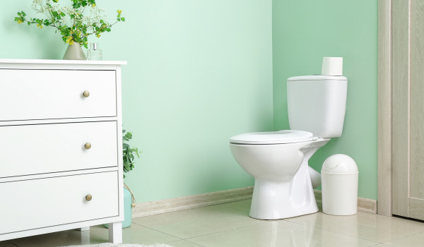 Vaso WC con rivestimento protettivo o no?